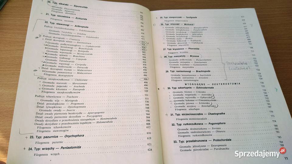 Bezkręgowce podstawy morfologii funkcjonalnej