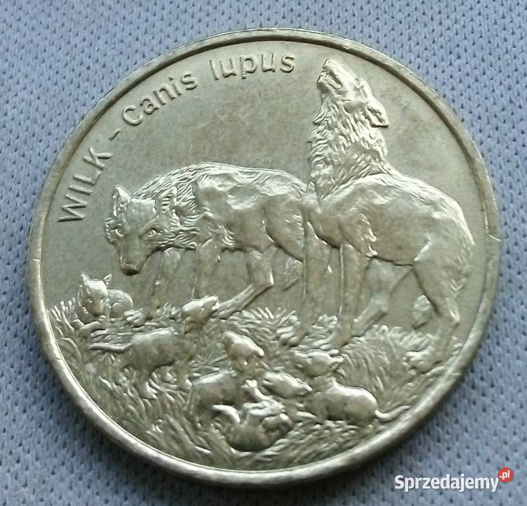 POLSKA2 1999 r GNWILKI Legionowo
