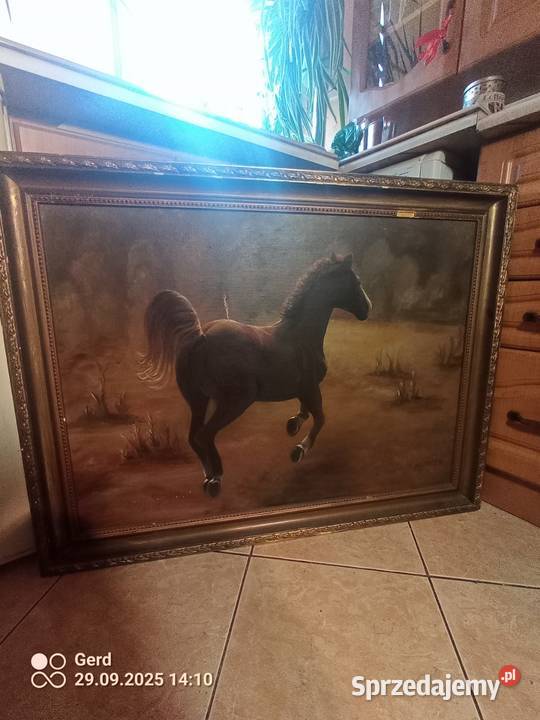 Duży obraz z koniem Warszawa
