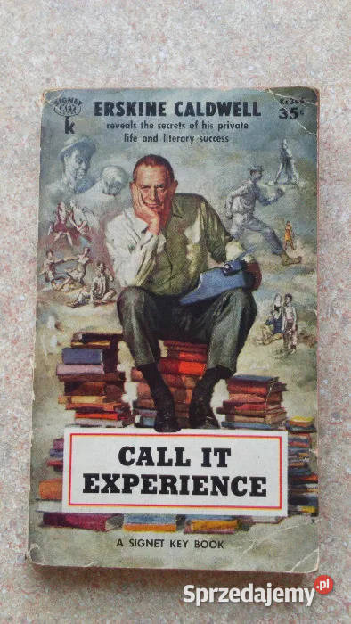 Oryg Książka w Języku Ang Call It Experience Gliwice