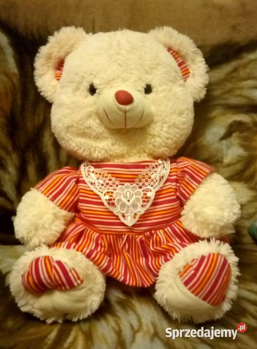 Miś pluszowy Maskotki