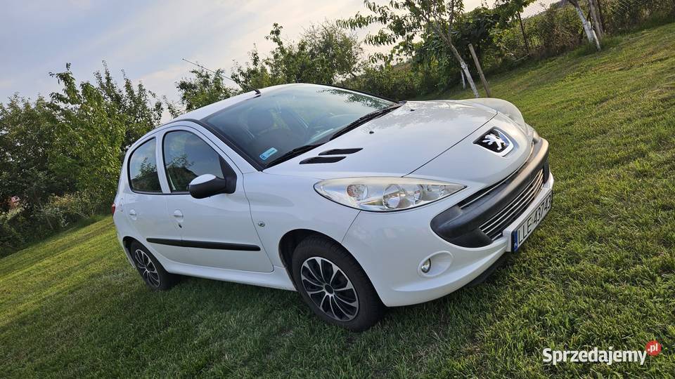 Peuegot 206 plus 14 benzyna 2011r Maśluchy