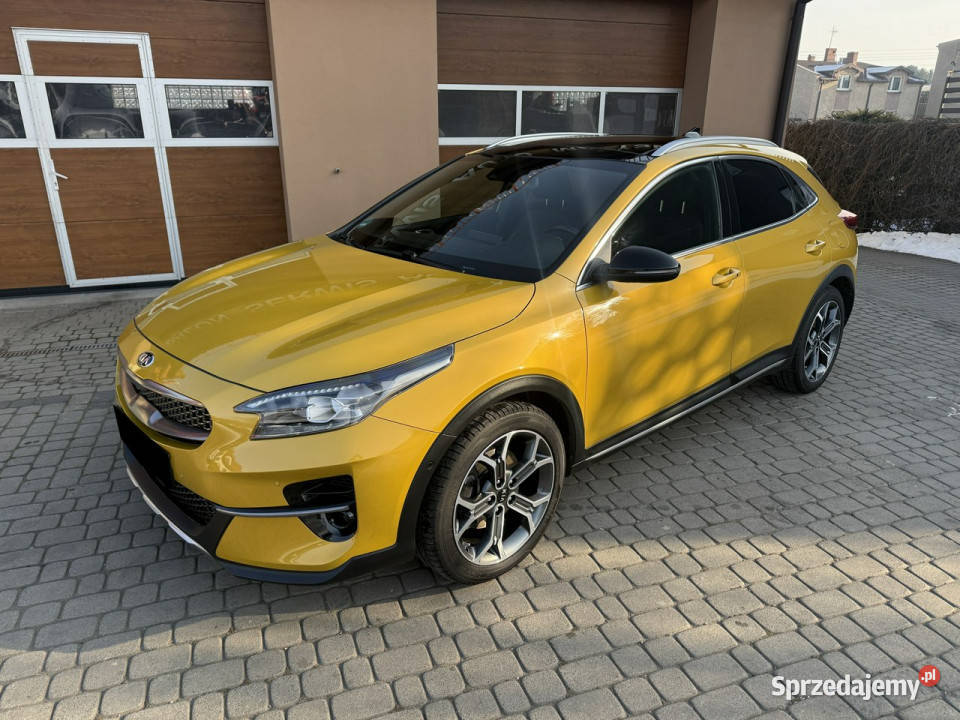 Kia XCeed Rezerwacja XCeed Orzech