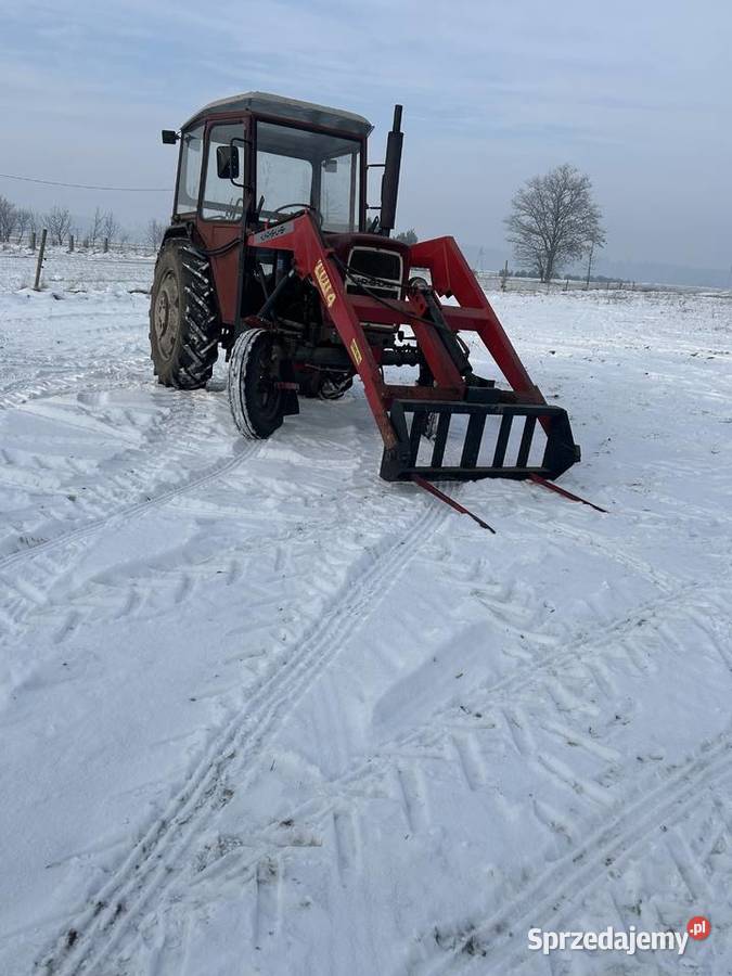 C 328330 stan 64 Brańszczyk