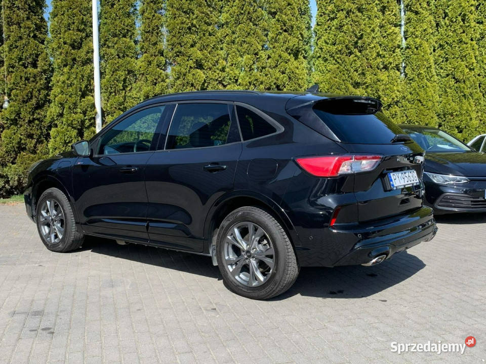 Ford Kuga 25 Plug In Hybrid STLine Bogata III Baranowo