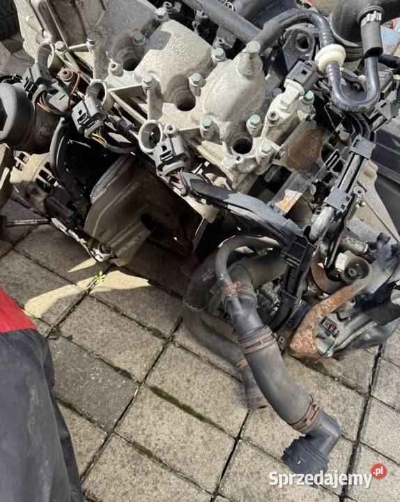 12 bmd 6v Volkswagen vw polo fox skoda fabia osobowe Mieszkowice sprzedam