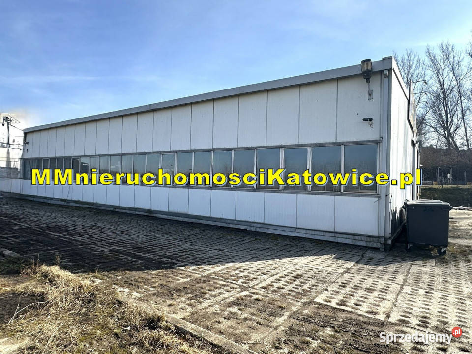 Hala wolnostojąca do wynajęcia Mysłowice plac