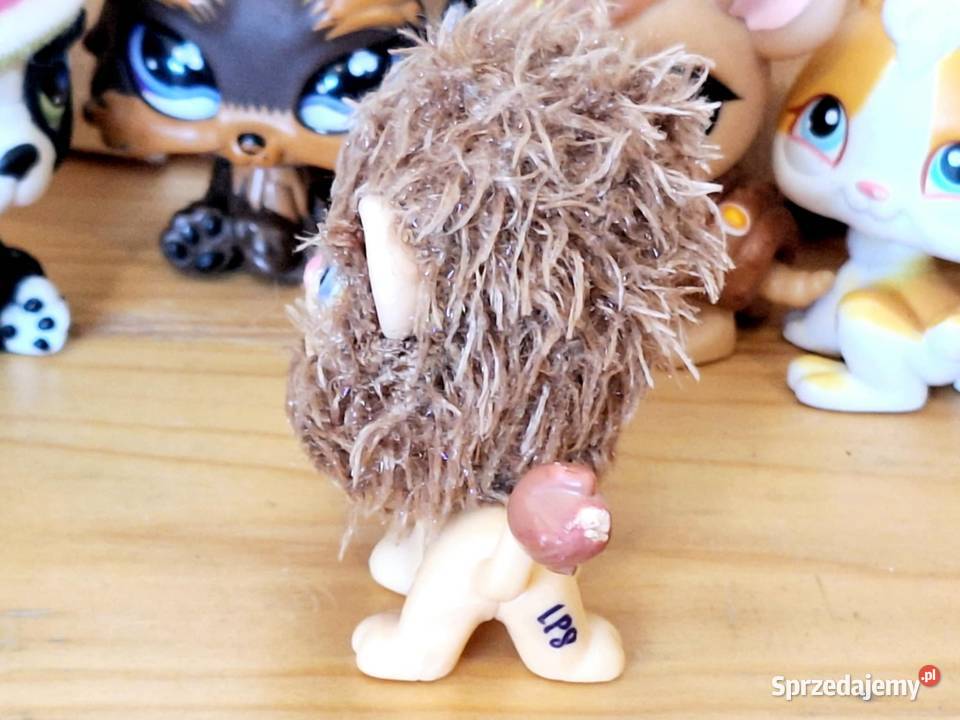 Puchaty lew Littlest Pet Shop Braniewo