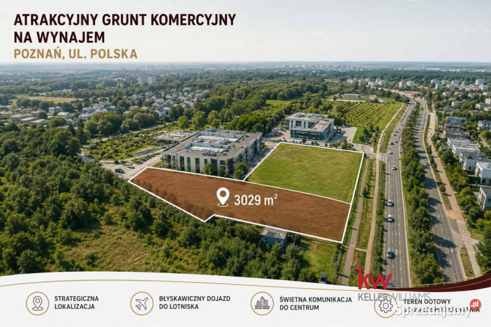 Lokal 3029m2 Poznań Nieruchomości