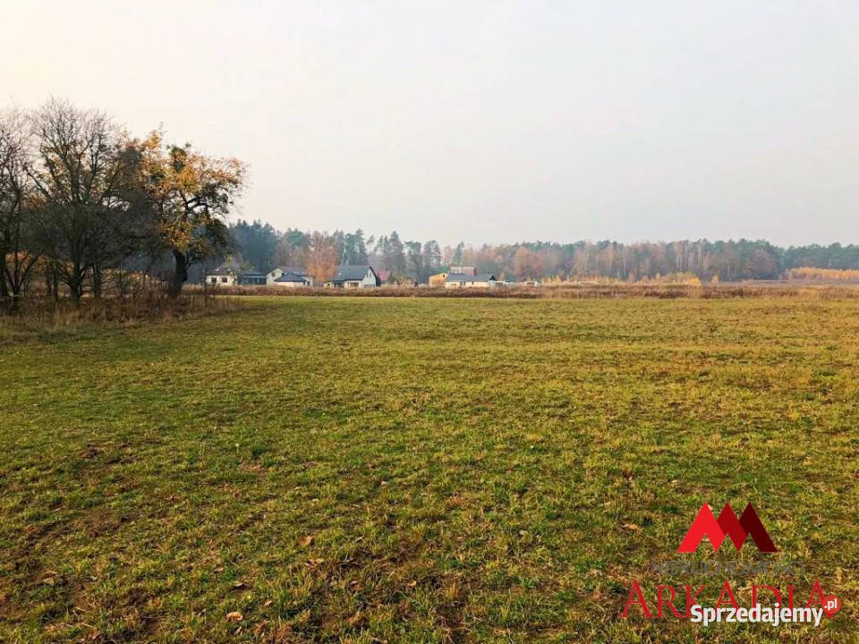 Działka Aleksandrów Kujawski 13174m2