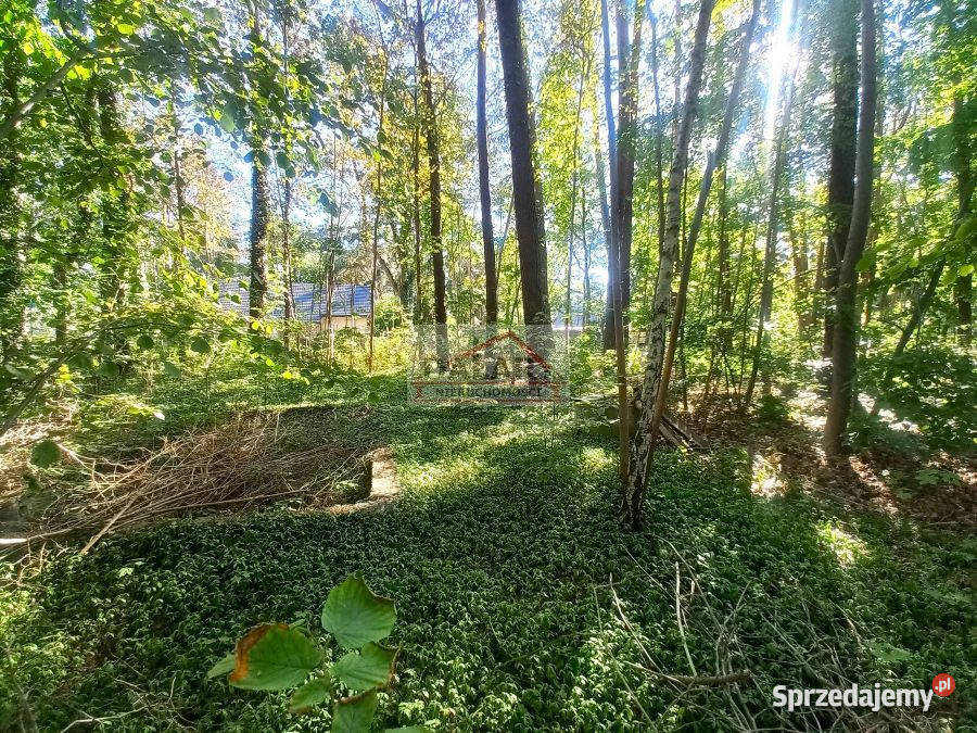 Grunt Zalesie Górne 2019m2 sprzedam