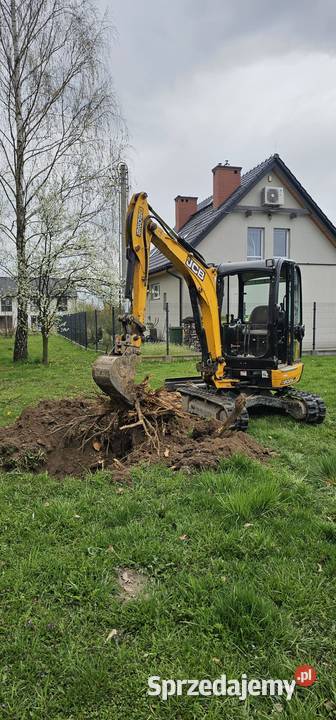 Wywrotka Kraków wynajem małopolskie