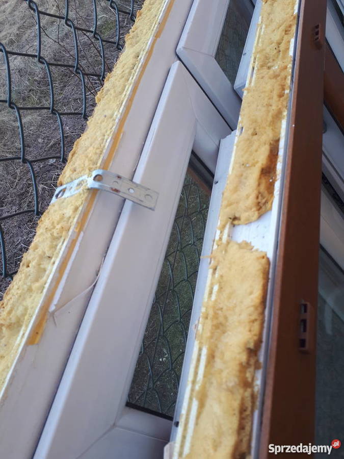 Okno 2 złoty dąb małopolskie Olkusz