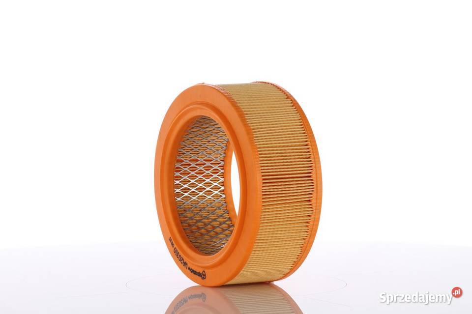 PZL WA20800 Filtr powietrza WA20800 podkarpackie Tyczyn