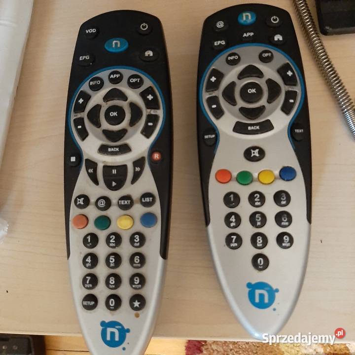 pilot ntv podkarpackie Rzeszów