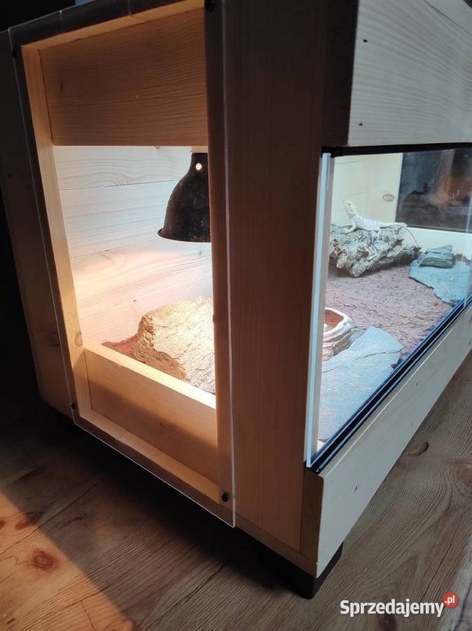 Terrarium drewniane agama brodata gekon wąż