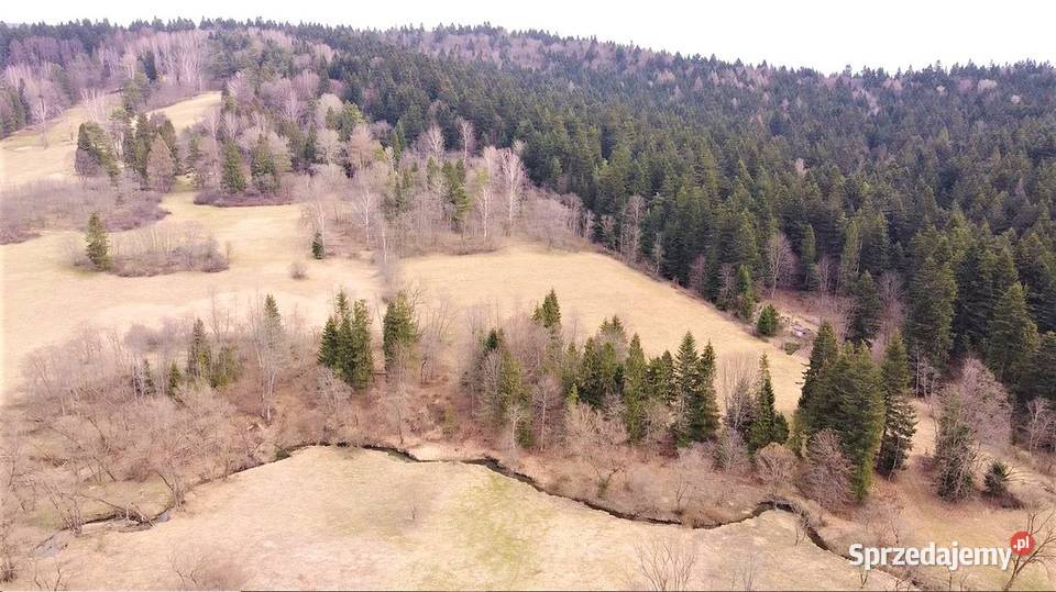 85ha koło Ustrzyk Dolnych 11 działek 8000ar Ustrzyki Dolne sprzedam