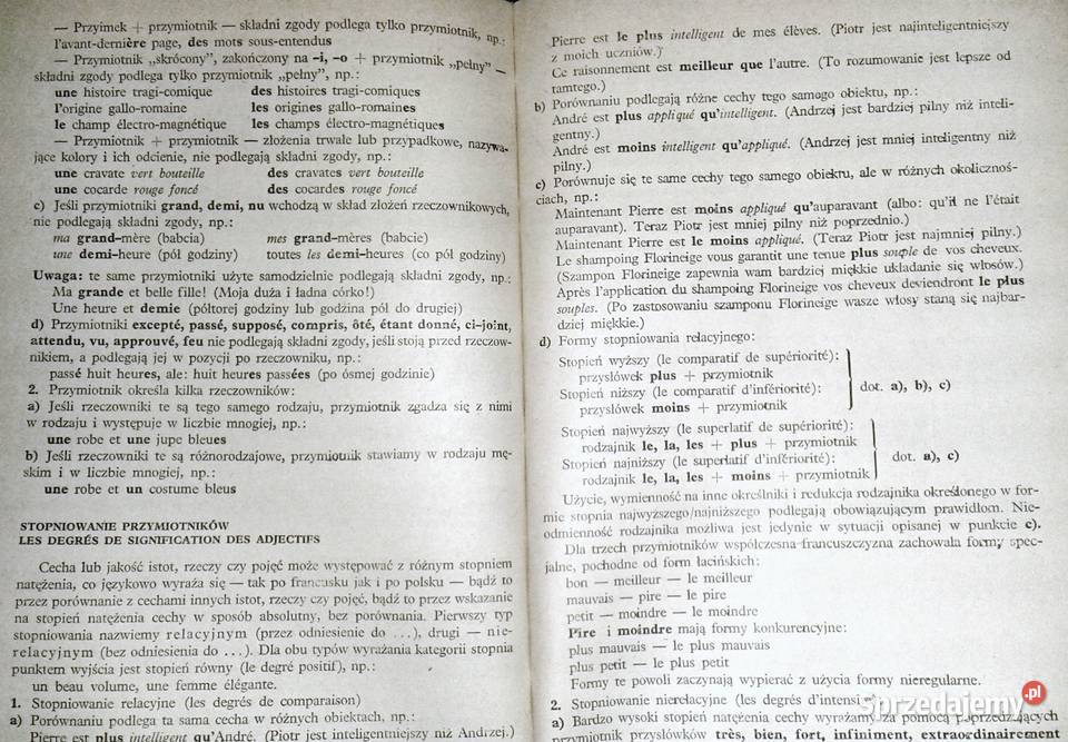 Gramatyka języka francuskiego Maria Łozińska