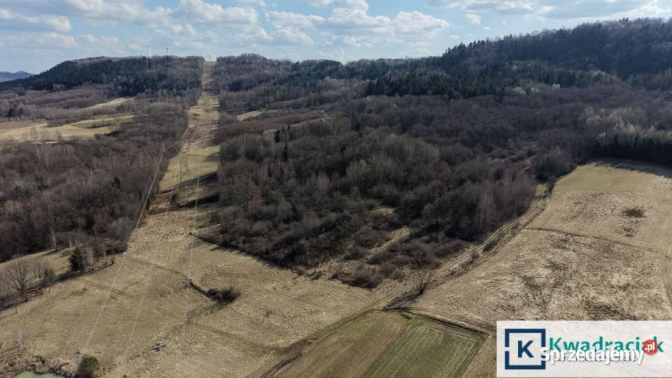 Działka Lutcza 4000m2