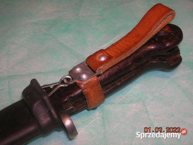 Bagnet rumuński 6H3 łódzkie