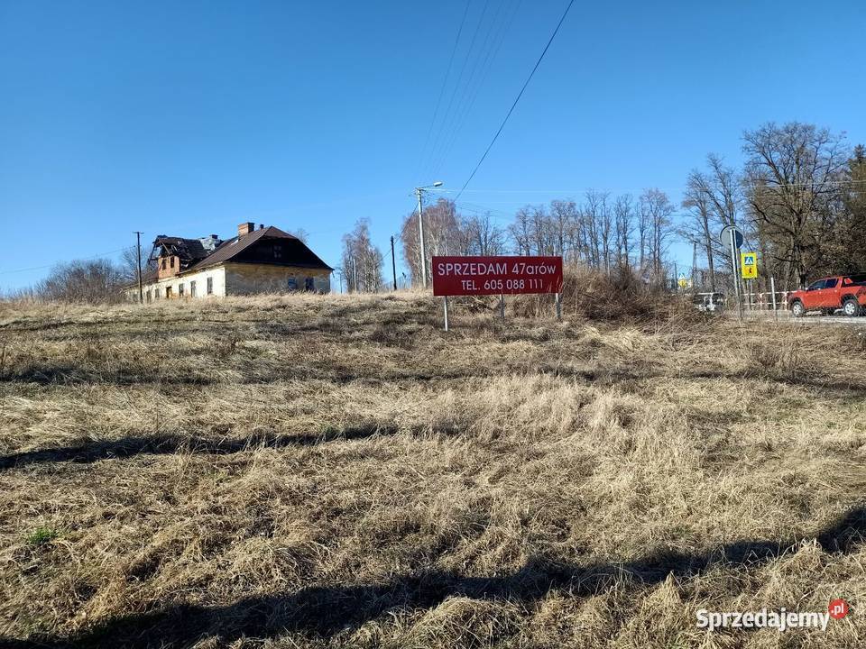 Dom na pięknej działce