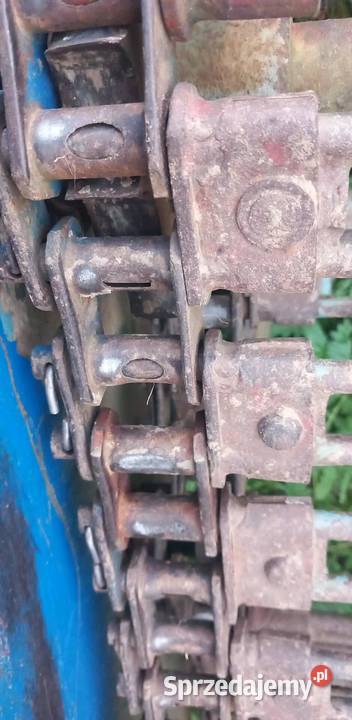 Kopaczka elewatorowa opolskie Otmuchów