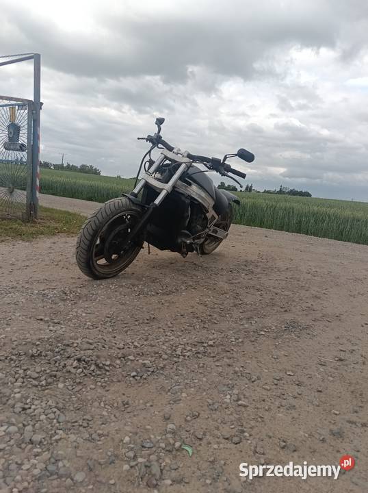Kawasaki ZX 10 Tomcat mat Gostycyn sprzedam