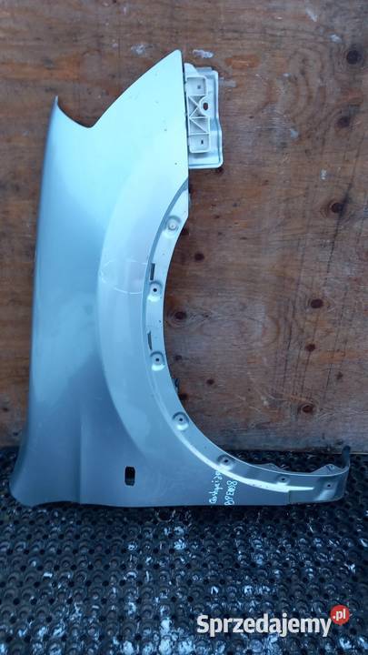 NISSAN QASHQAI J10 BŁOTNIK PRZÓD PRAWY Zbierkowo