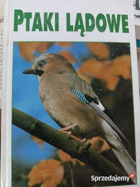 Ptaki lądowe książki Warszawa księgarnia Praga hobby, kolekcjonerstwo