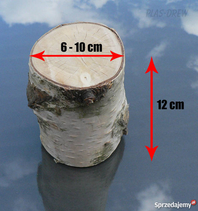 Pieniek gnatek drewna dekoracyjny wys 12 inny kolor