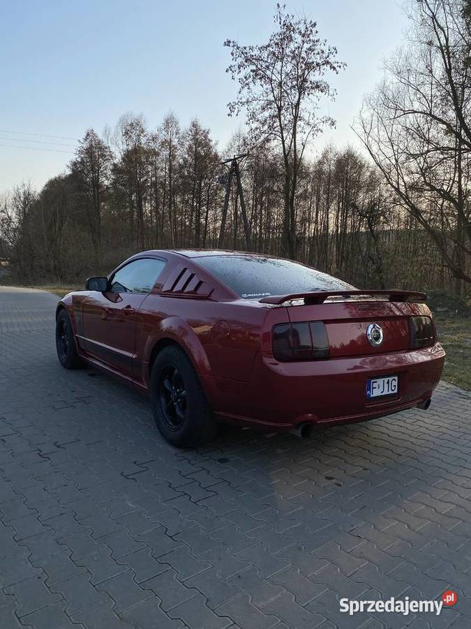 Ford Mustang gt 46 v8 Międzyrzecz sprzedam