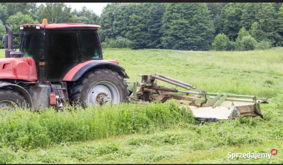 Przyjmę w dzierżawę grunty rolne 1000000m2 sprzedam