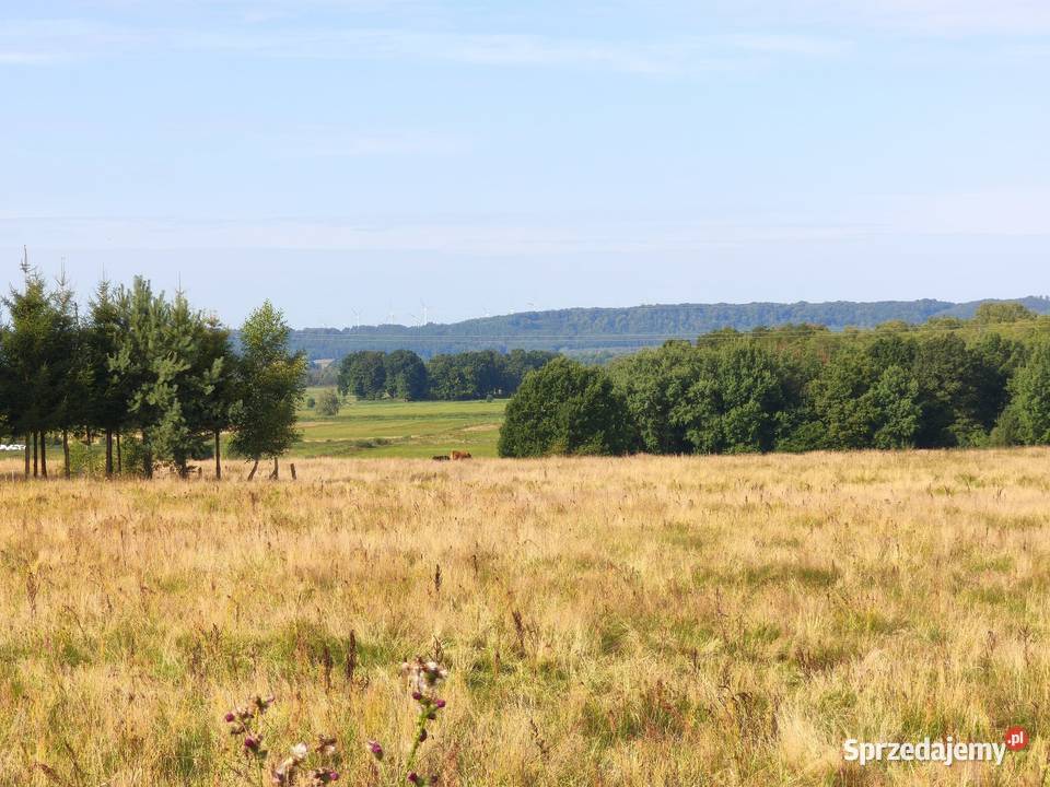 Z dala spojrzeń sąsiadów Chocielewko