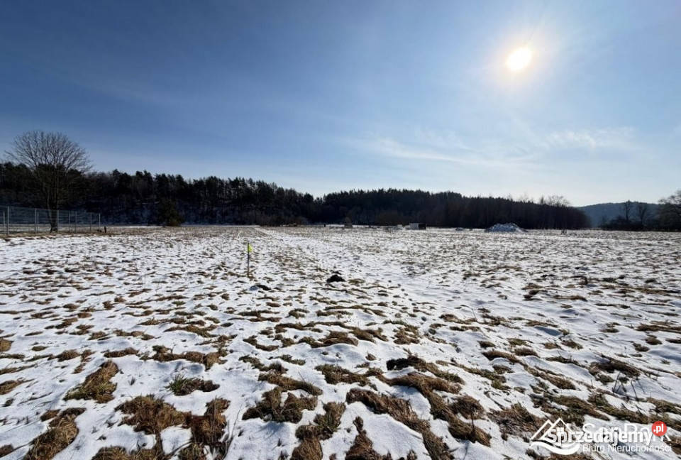 sprzedaży działki Lesko 1229m2