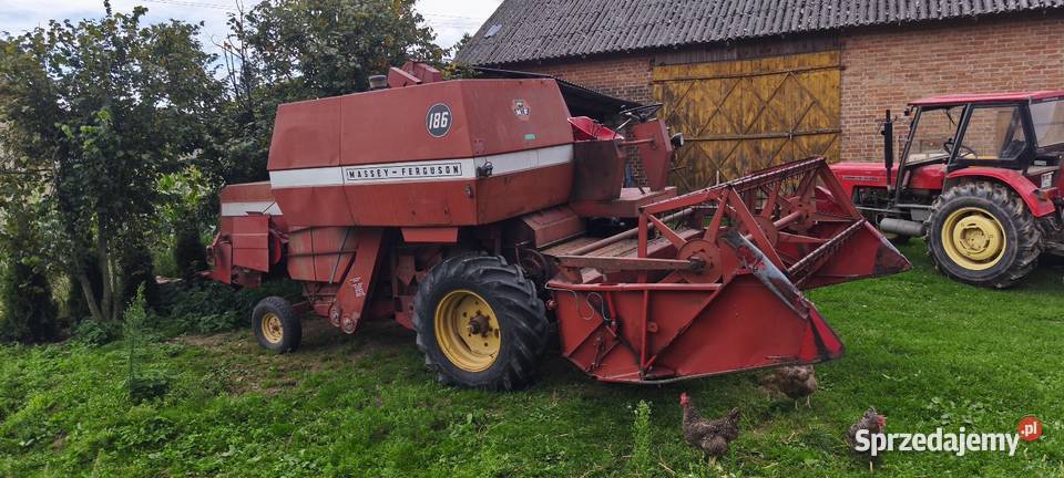 Kombajn Massey Ferguson 186 MF186 Massey Ferguson Maszyny rolnicze