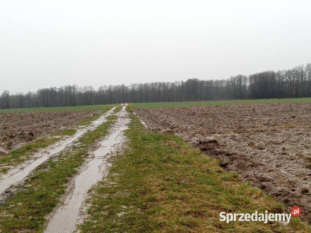 Działka budowlano rolna 01067 ha Ostrów Lubelski 1067m2