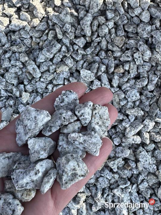 GRYS GRANITOWY 816 mm 20 Dalmatyńczyk Kamień mazowieckie Warszawa