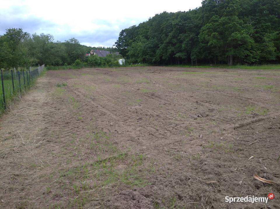 Działka budowlana 30 arów Myślinów sprzedam