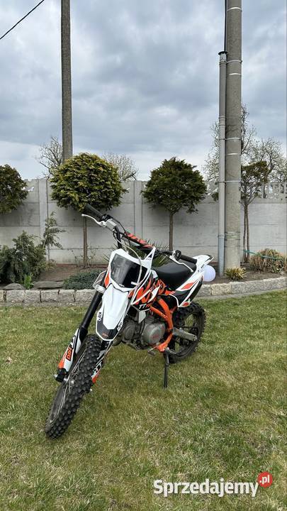 kayo 140tt Rok produkcji 2023 Występ