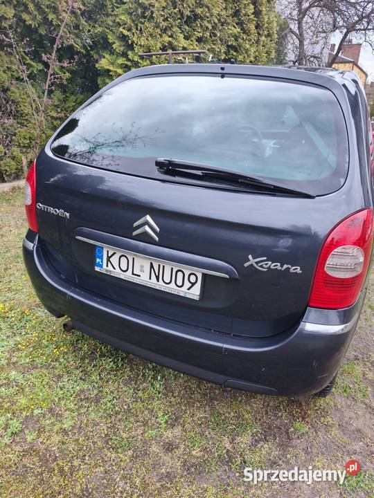 Citron Xsara Picasso 1587cm3 Xsara Picasso Olkusz