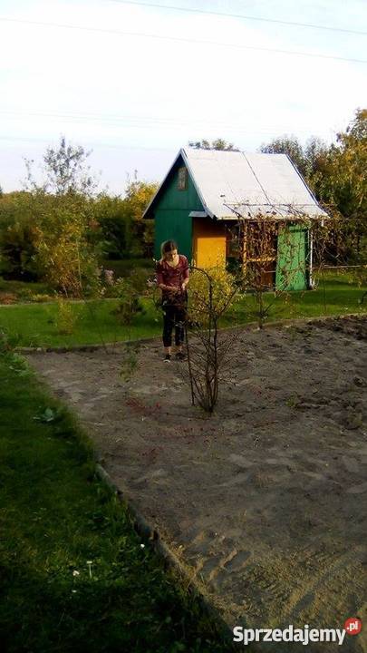 Sprzedam działkę na Rodzinny Ogród Dzialkowy 400m2 Kraśnik