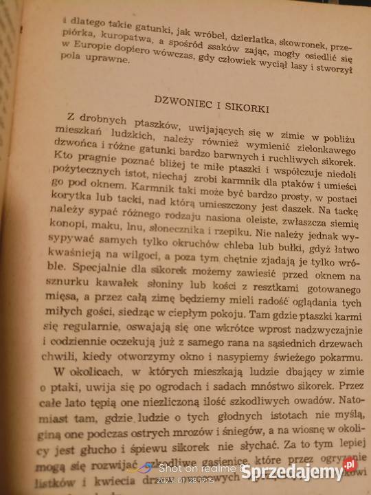 Obrazki z życia ptaków w zimie Sokołowski Rok wydania 1956 Warszawa