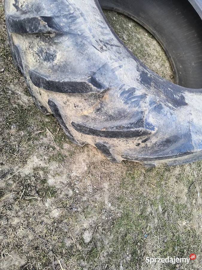 Opona 4208534 16934R Garbacz