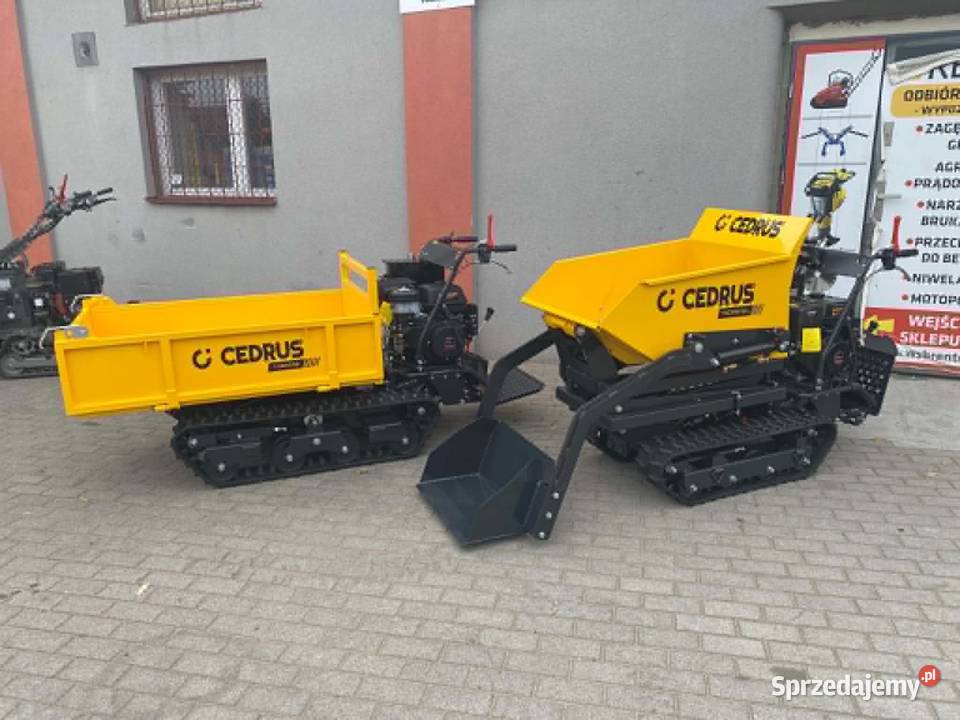 Transporter Cedrus Gąsienicowy Górnego Wysypu Konin sprzedam