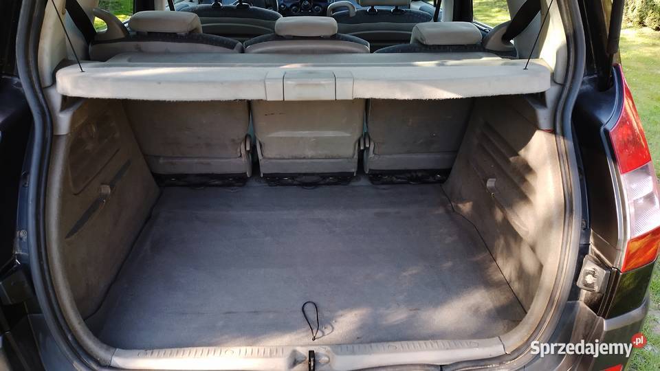 RENAULT SCENIC nieuszkodzony wielkopolskie Kalisz