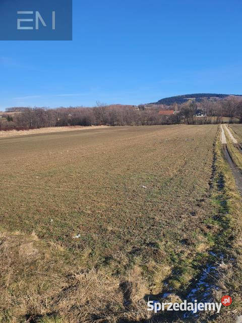 Grunt 3100m2 Wysoka Strzyżowska