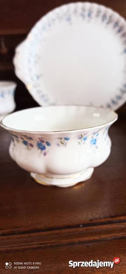Talerz Memory Zane Royal Albert Niezapominajki Porcelana i szkło sprzedam