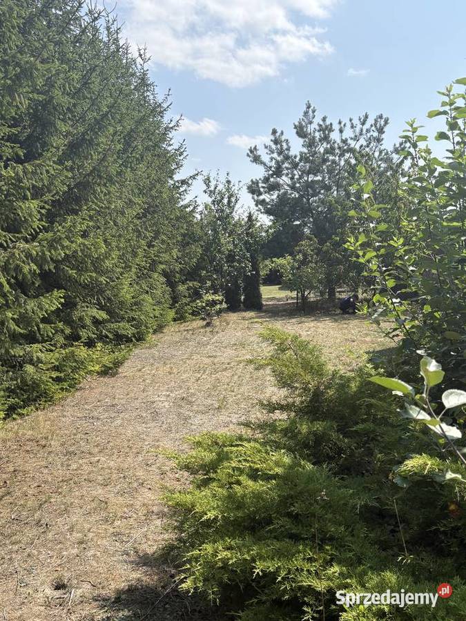 Działka budowlana Łęczna 1000m2 Sprzedaż sprzedam