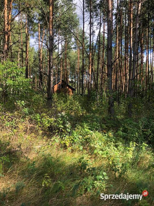 Działka jeziorem Chańcza