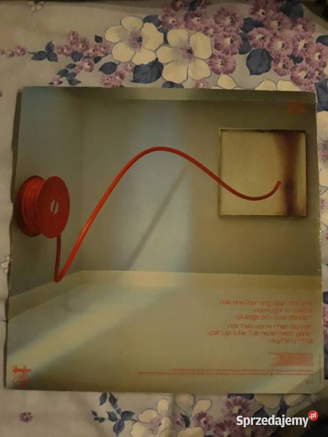 ROBERT PLANT debiutancki album Pictures at Rzeszów